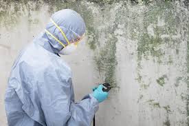  Hubbard, OR Mold Removal Pros